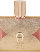 aigner Icon