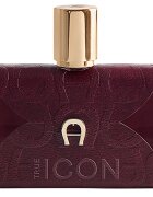 aigner True Icon