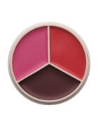 Anastasia Beverly Hills Magict Touch Blush Trio