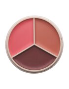 Anastasia Beverly Hills Magict Touch Blush Trio