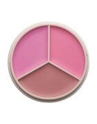 Anastasia Beverly Hills Magict Touch Blush Trio