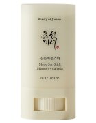 Beauty Of Joseon Matte Sun Stick: Mugwort + Camelia