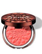 By Terry Tea To Tan Powder Blush