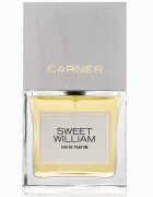 Carner Barcelona Sweet William