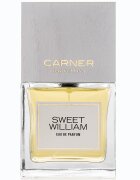 Carner Barcelona Sweet William