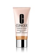 Clinique Moisture Surge Sheertint Hydrator Spf25 (Medium/Universal Shade 4)
