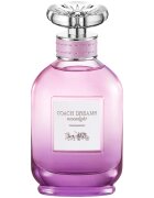 Coach Dreams Moonlight