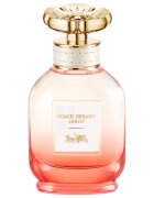 Coach Dreams Sunset