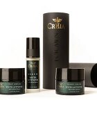 Crozia КОМПЛЕКТ Trio Of Youth