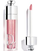 Dior Addict Lip Maximizer