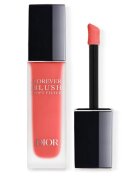 Dior Forever Blush Soft Filter