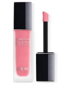 Dior Forever Blush Soft Filter