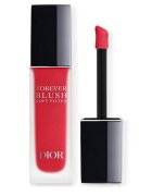 Dior Forever Blush Soft Filter