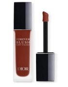 Dior Forever Blush Soft Filter