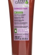 Every Green Restructurizing Mask - Damaged Hair
