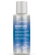 Joico Moisture Recovery Shampoo