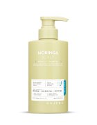 Orjena Moringa Scalp Perfect Shampoo