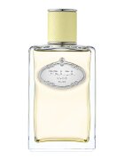 Prada Les Infusions de Gingembre