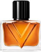 Valentino Vendetta Uomo