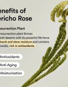 Abib Collagen Eye Patch Jericho Rose Jelly възглавнички под очите против бръчки отоци и черни кръгове 60 бр.