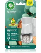 Air Wick Blue Eucalyptus & Cedarwood електрически уред за освежаване на въздуха с пълнител 19 мл.