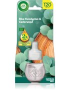 Air Wick Blue Eucalyptus & Cedarwood пълнител за електрически дифузер 19 мл.