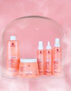 Alama Professional Anti Frizz Control козметика за коса против цъфтене 150 мл.