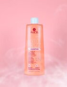 Alama Professional Anti Frizz Gloss Shampoo шампоан против цъфтене 500 мл.