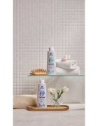 Alama Professional Zero Stress Sebum Regulating Shampoo шампоан за мазна кожа на скалпа 300 мл.