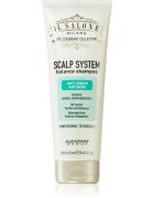 Alfaparf Milano Il Salone Milano Scalp System дълбоко почистващ шампоан за мазен скалп 250 мл.