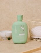 Alfaparf Milano Semi Di Lino Scalp Rebalance шампоан за мазен скалп 250 мл.
