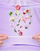 Always Daily Fresh Normal дамски превръзки без парфюм 80 бр.