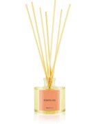 Ambientair COLOURS Pomelo aроматизиращ дифузер с пълнител 100 мл.