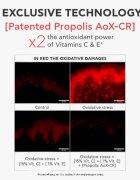 Apivita Bee Tech Concentrates C15 Propolis Correct Serum антиоксидиращ серум за лице 30 мл.