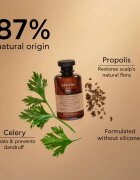 Apivita Dandruff Dry Dandruff Shampoo шампоан против пърхот 250 мл.
