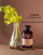 Apivita Dandruff Dry Dandruff Shampoo шампоан против пърхот 250 мл.