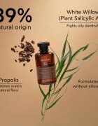 Apivita Dandruff Oily Dandruff Shampoo шампоан против пърхот за мазна коса 250 мл.