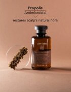 Apivita Dandruff Oily Dandruff Shampoo шампоан против пърхот за мазна коса 250 мл.