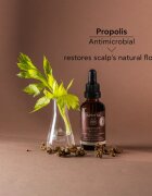 Apivita Dandruff Relief Oil грижа за скалпа против мазен пърхот 50 мл.