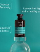Apivita Oily Hair Oil Balance Shampoo дълбоко почистващ шампоан за мазен скалп за подсилване и блясък на косата 250 мл.