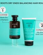 Apivita Oily Roots & Dry Ends комплект за мазен скалп и сухи краища