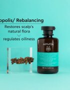 Apivita Oily Roots & Dry Ends Shampoo шампоан за мазен скалп и сухи краища на косата 250 мл.