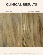Apivita Royal Jelly Elixir Revitalizing Shampoo ревитализиращ шампоан против признаците на стареене на косата 250 мл.