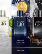 Armani Acqua di Giò Intense парфюмна вода за мъже 100 мл.