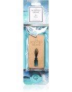 Ashleigh & Burwood London Sea Spray aроматизатор за автомобил 2 бр.