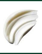 Aveda Be Curly Advanced™ Conditioner хидратиращ балсам за къдрава коса 1000 мл.
