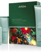 Aveda Holiday Scalp Serenity: Scalp Solutions™ Balancing Essentials коледен подаръчен комплект За коса