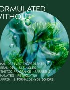 Aveda Men Pure - Formance™ Grooming Clay Моделираща глина за фиксиране и оформяне 75 мл.