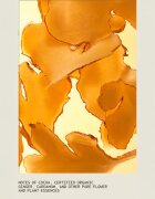 Aveda Nutriplenish™ Replenishing Overnight Serum хидратиращ серум За коса 100 мл.