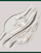 Aveda Rosemary Mint Purifying Shampoo дълбоко почистващ шампоан за блясък 1000 мл.